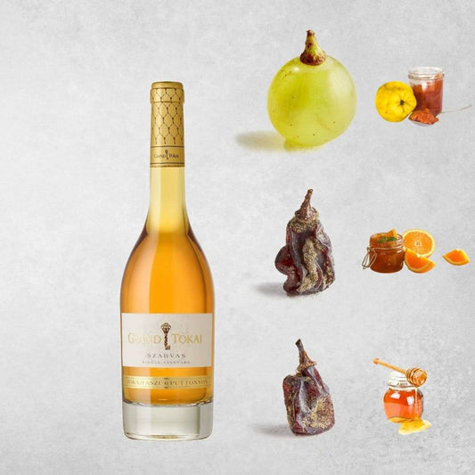 Flasche Grand Tokaj Szarvas Tokaj Aszú 6 Puttonyos Wein mit Traube, Quitte, getrockneten Trauben, Orangenmarmelade und Honig