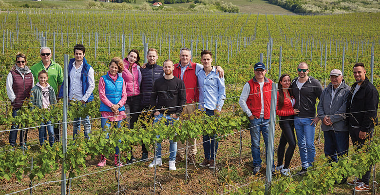 Gruppe von 15 Personen in einem Weinberg, umgeben von Weinreben. Einige tragen bunte Jacken, andere T-Shirts. Im Hintergrund sind sanfte Hügel zu sehen.