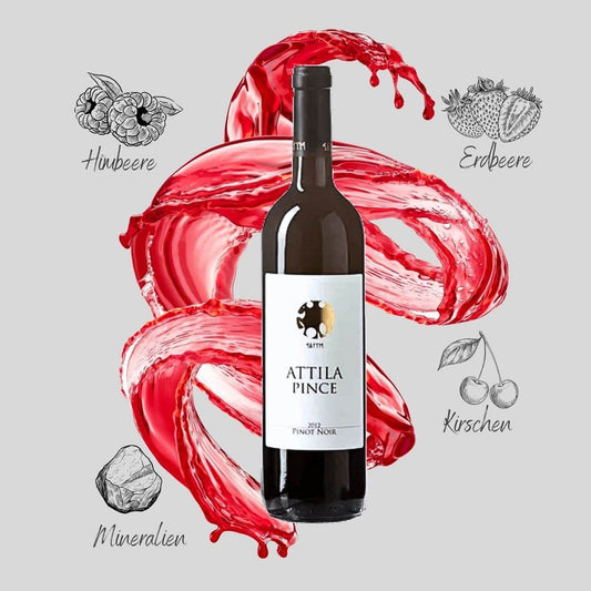 Pinot Noir 2019 Naturwein Attila Pince Eger Ungarn 0,75l - HUNGAROVIN - Topweine aus Ungarn, Italien & Australien – online kaufen