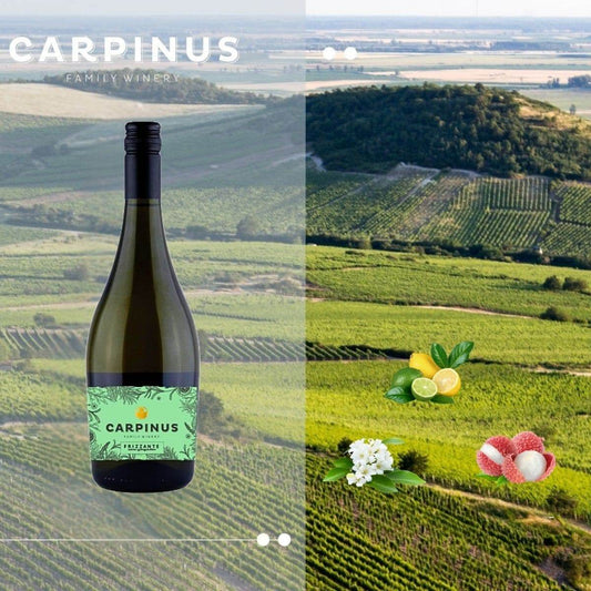 Flasche Carpinus Frizzante Wein vor einer grünen Weinberglandschaft mit Geschmacksnoten Zitrus, weisse Blüten und Litschi