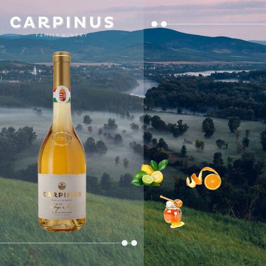 Flasche Carpinus Tokaji Aszú Weisswein vor einer nebligen Hügellandschaft, Geschmacknoten Zitrus, Orangenschale und Honig