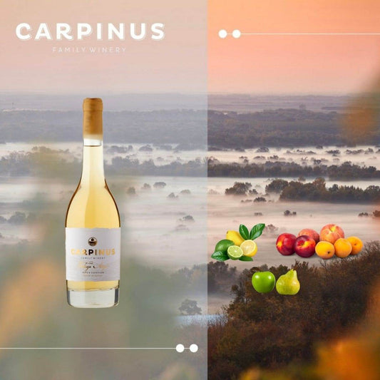 Flasche Carpinus Tokaji Aszú Weisswein vor nebliger Landschaft, Geschmacksnoten Zitrus, Steinobst, Birne und grüner Apfel