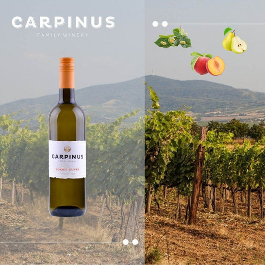 Carpinus Family Winery Tokaji Cuvée Weinflasche vor Weinberg mit Geschmacknoten Linde, Pfirsich und Birne