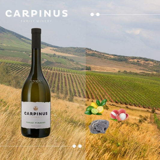 Flasche Carpinus Tokaji Furmint Wein vor einer Weinberglandschaft mit Geschmacknoten Zitrus, Litschi und Mineralien