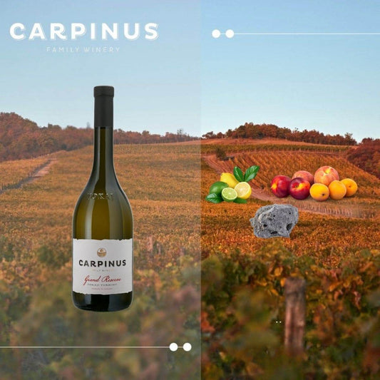 Flasche Carpinus Grand Reserve Wein vor herbstlicher Weinberglandschaft mit Geschmacknoten Zitrus, Steinobst und Mineralien