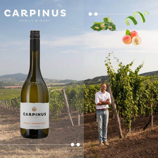 Flasche Carpinus Tokaji Hárslevelű Weisswein vor Weinberg mit Winzer, Geschmacknoten Linde, Limettenschale, weisser Pfirsich