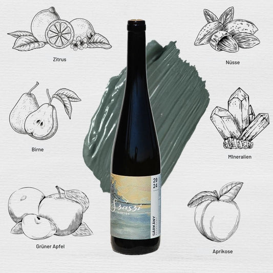 Flasche Szászi Sárkány Wein 2024 Edition vor grünem Farbstrich, umgeben von Illustrationen mit Geschmacksnoten: Zitrus, Birne, Mineralien