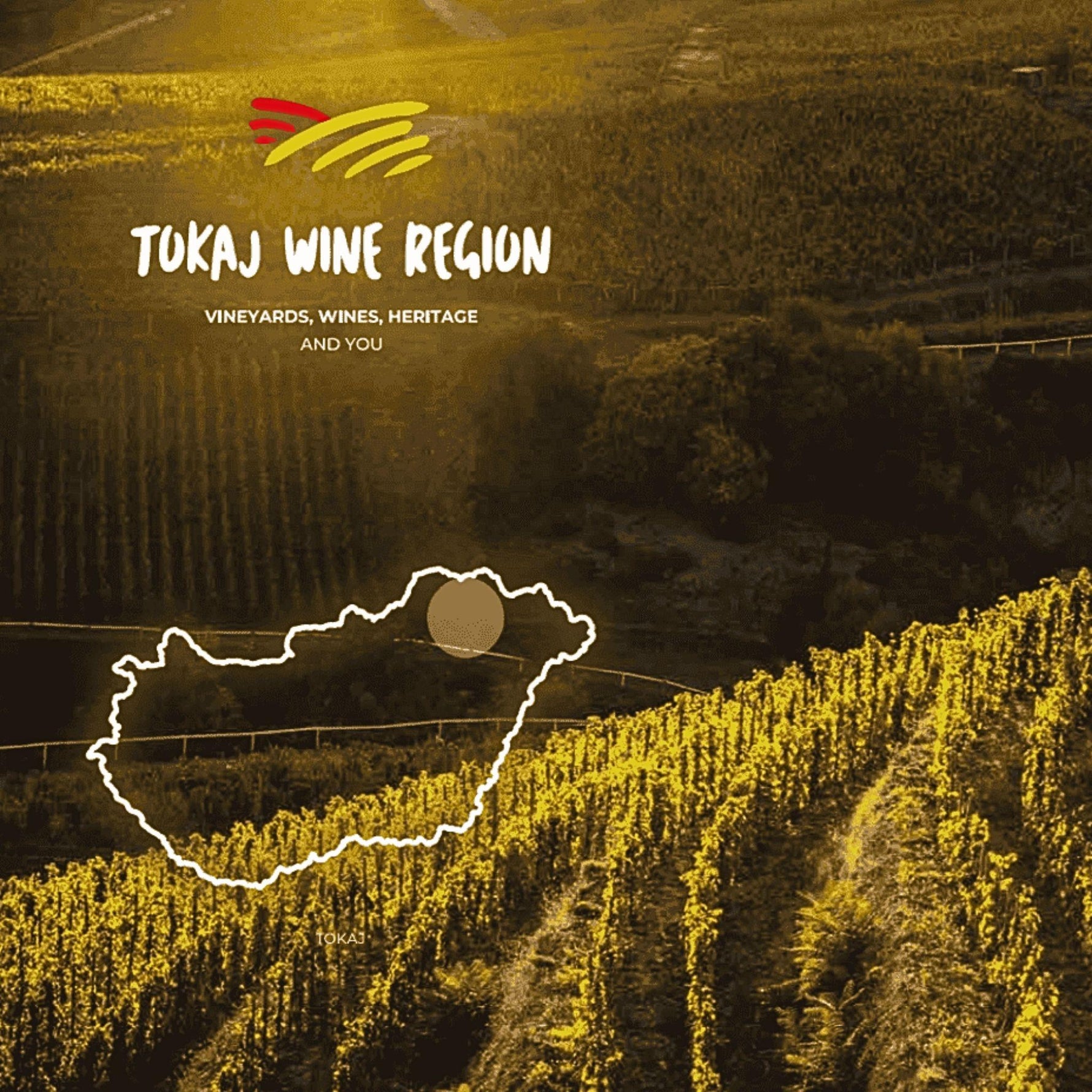 Weinberge im Tokaj-Weinbaugebiet mit einer Umrisskarte von Ungarn. Text: 'TOKAJ WINE REGION', 'VINEYARDS, WINES, HERITAGE AND YOU'.