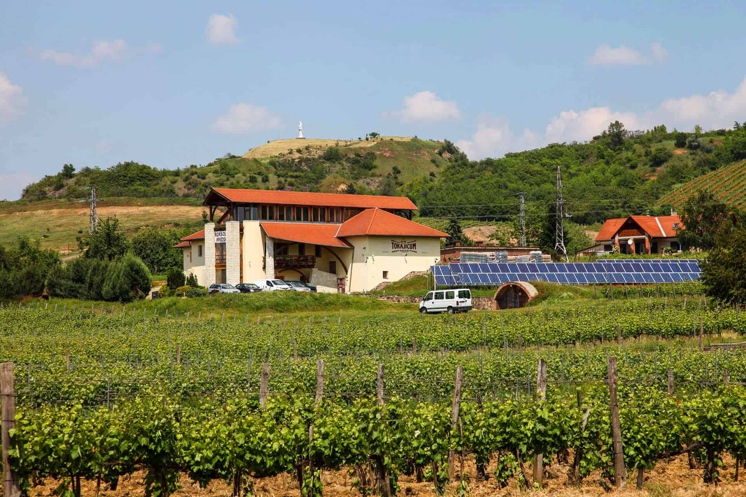 Weingut Tokajicum mit rotem Dach, umgeben von Weinreben. Im Hintergrund Hügel mit einer Statue und Stromleitungen. Ein weißes Auto und Solarpanels sind sichtbar.