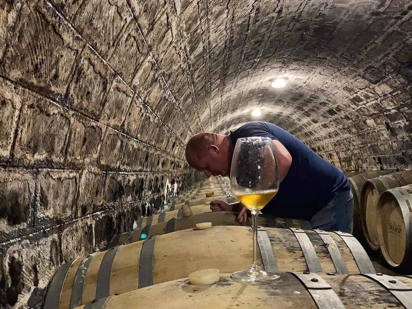 Ein Mann beugt sich über Holzfässer in einem Weinkeller. Vor ihm steht ein Glas mit gelbem Wein auf einem Fass.