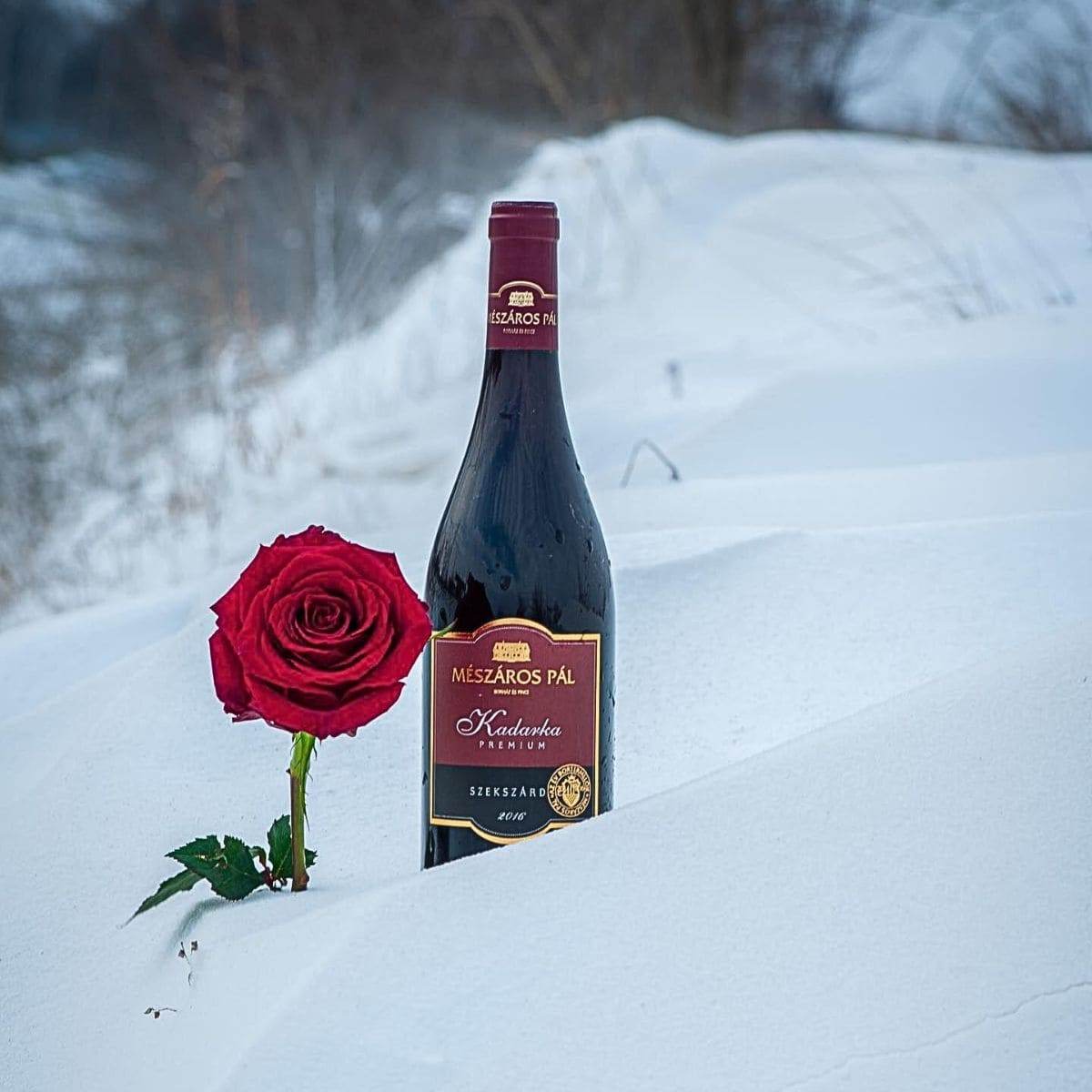 Flasche Mészáros Pál Kadarka Premium Rotwein und rote Rose stecken im Schnee