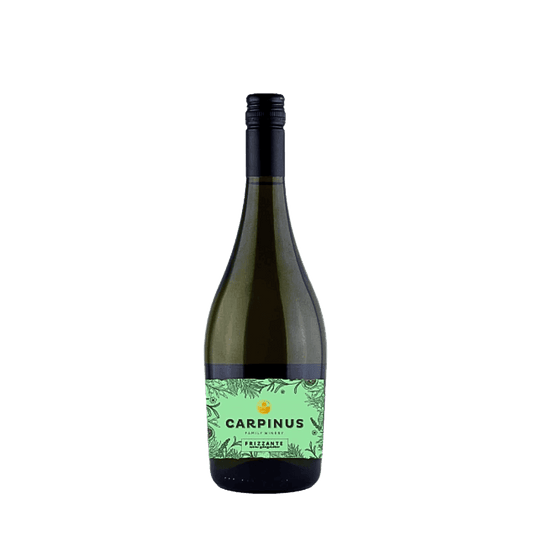 Dunkelgrüne Weinflasche mit Schraubverschluss und grünem Etikett. Auf dem Etikett: "Carpinus Family Winery" und "Frizzante"