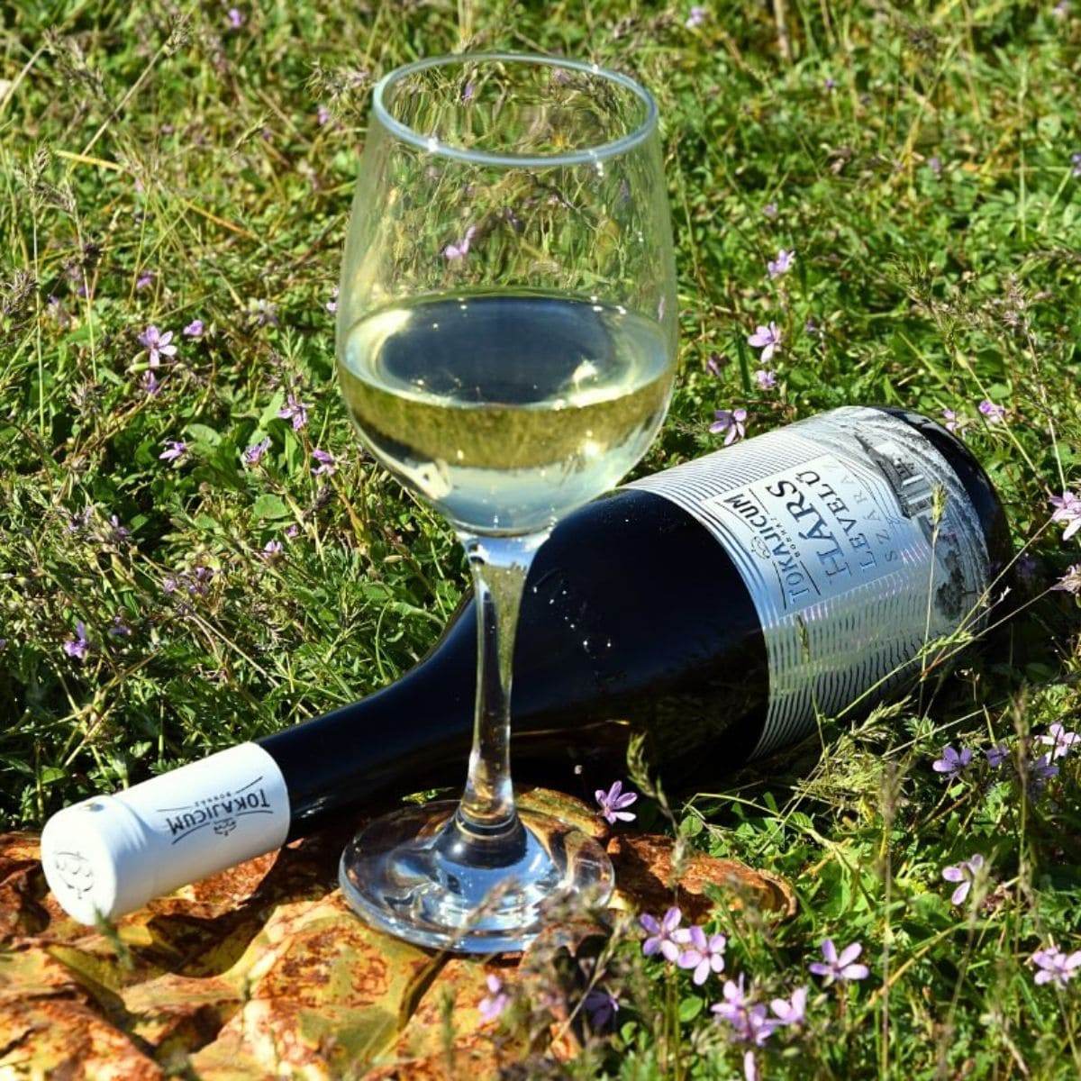 Weinglas mit weißem Tokajicum Hárslevelű Wein und Flasche auf Gras mit kleinen lila Blüten