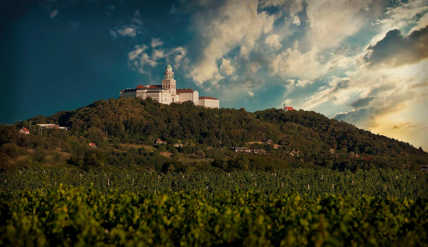Die Abtei von Pannonhalma thront auf einem Hügel, umgeben von Weinbergen und Bäumen, unter einem bewölkten Himmel.