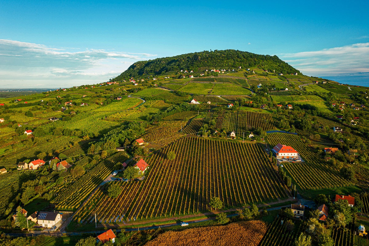 Aus der Luft ist der Somló-Berg ein üppiger grüner Hügel, der mit Weinbergen und verstreuten Häusern geschmückt ist. Die malerische Landschaft umfasst gewundene Straßen und kleine Waldgebiete, alles unter einem klaren blauen Himmel.