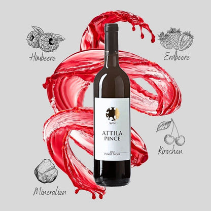 Pinot Noir 2019 Naturwein Attila Pince Eger Ungarn 0,75l - HUNGAROVIN - Topweine aus Ungarn, Italien & Australien – online kaufen