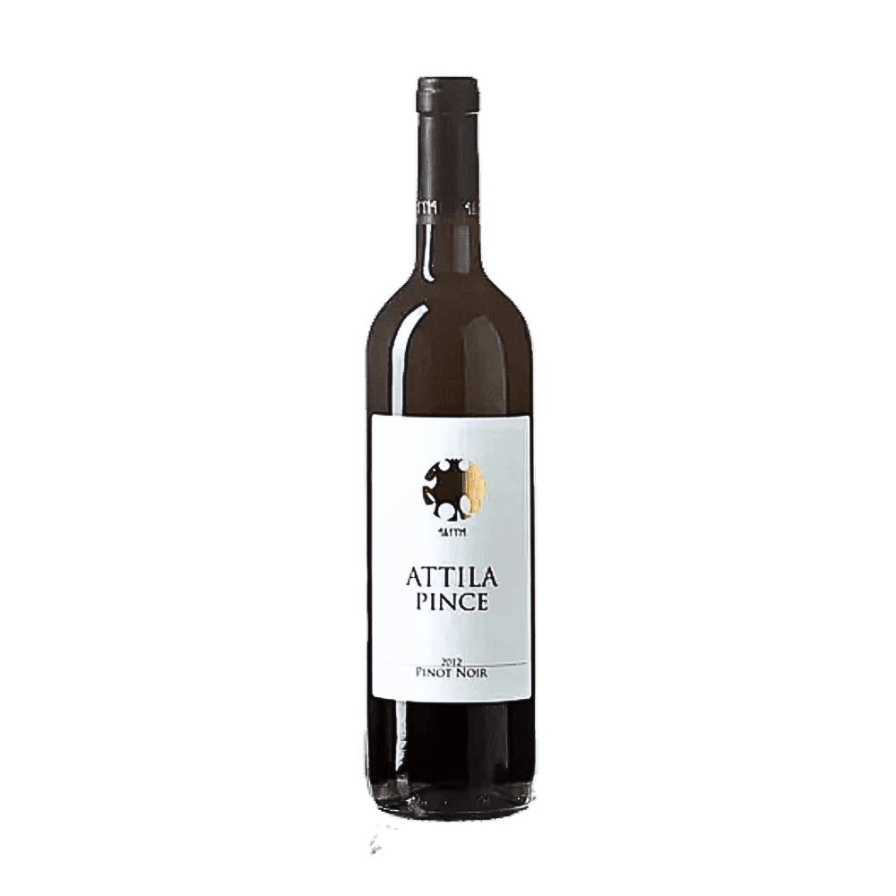 Pinot Noir 2019 Naturwein Attila Pince Eger Ungarn 0,75l - HUNGAROVIN - Topweine aus Ungarn, Italien & Australien – online kaufen