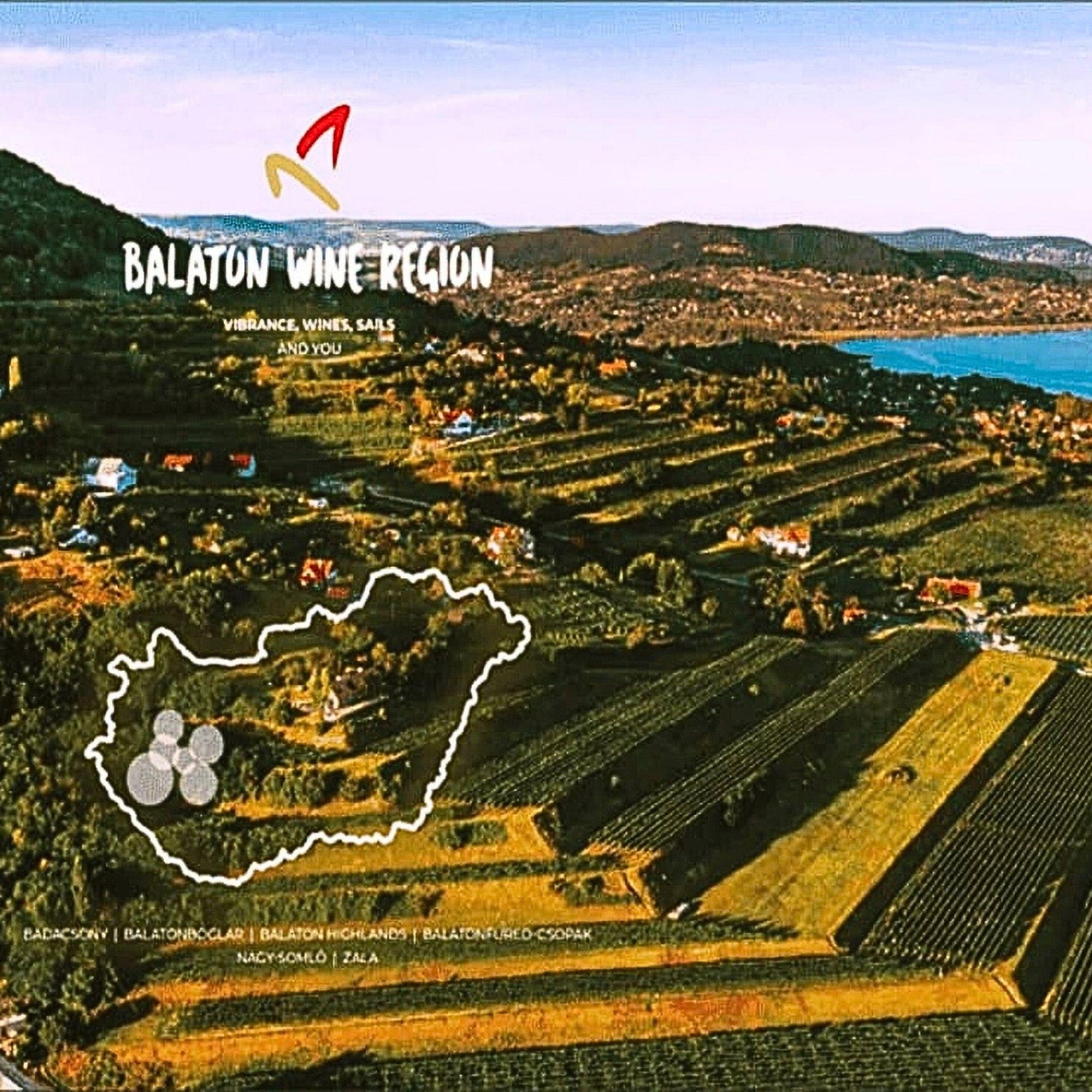 Luftaufnahme der Balaton-Weinregion mit Weinbergen, Hügeln und dem Balatonsee. Im Vordergrund eine Umrisskarte von Ungarn mit Trauben-Symbolen.