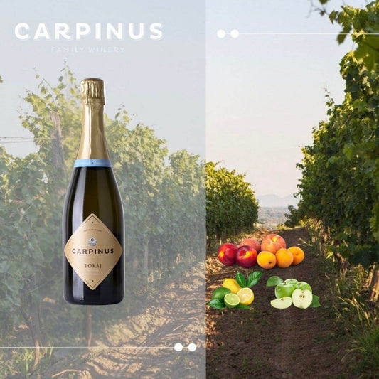Flasche Carpinus Tokaj Schaumwein vor Weinberg mit Geschmackshinweisen Steinobst, Zitrus und grüner Apfel