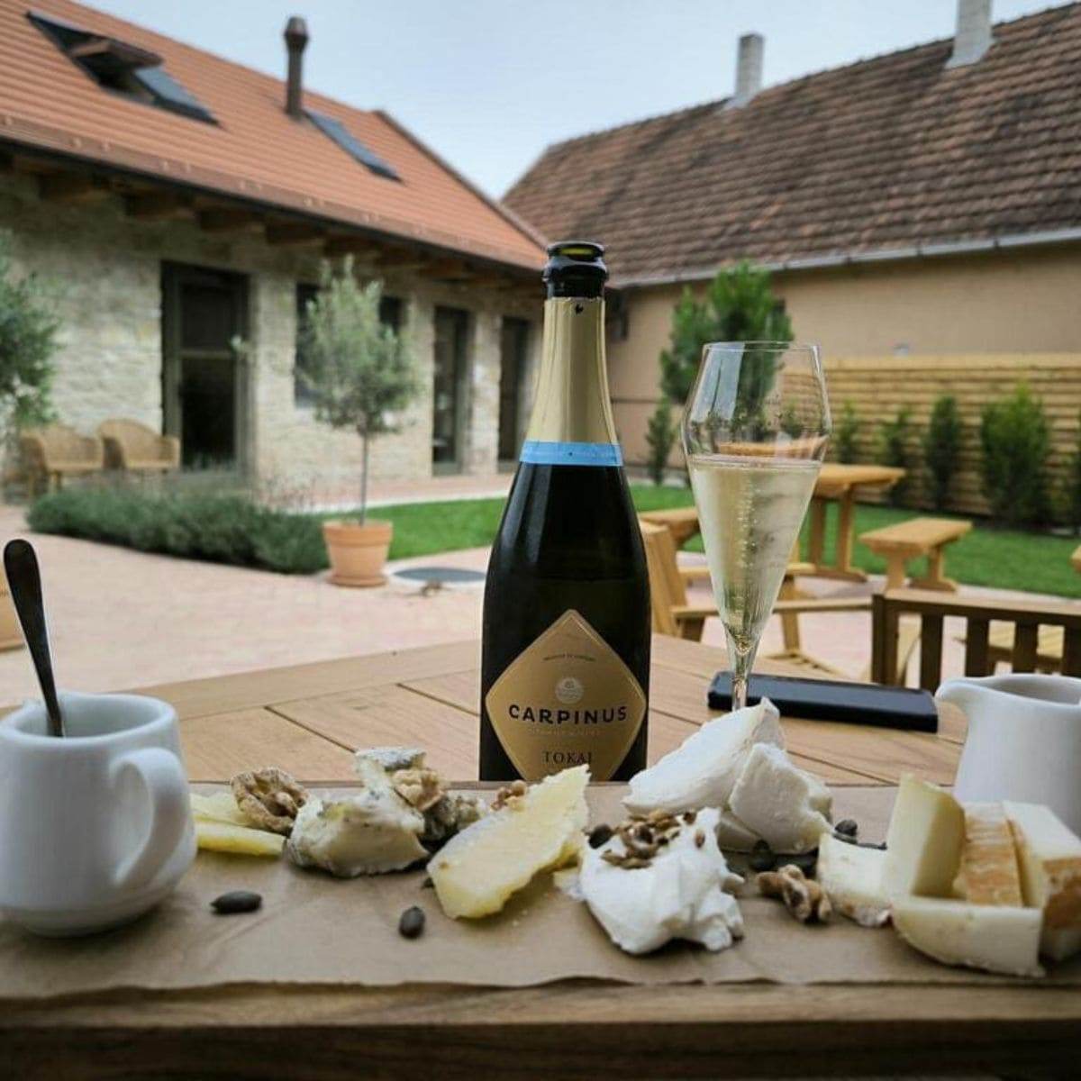 Flasche Carpinus Tokaj Sekt mit gefülltem Sektglas und verschiedenen Käsesorten auf Holzbrett auf Gartentisch vor Haus