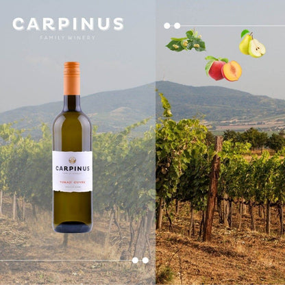 Carpinus Family Winery Tokaji Cuvée Weinflasche vor Weinberg mit Geschmacknoten Linde, Pfirsich und Birne