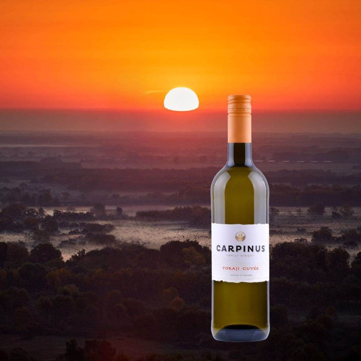 Flasche Carpinus Tokaji Cuvée Weisswein vor einem orangefarbenen Sonnenuntergang über einer bewaldeten Landschaft