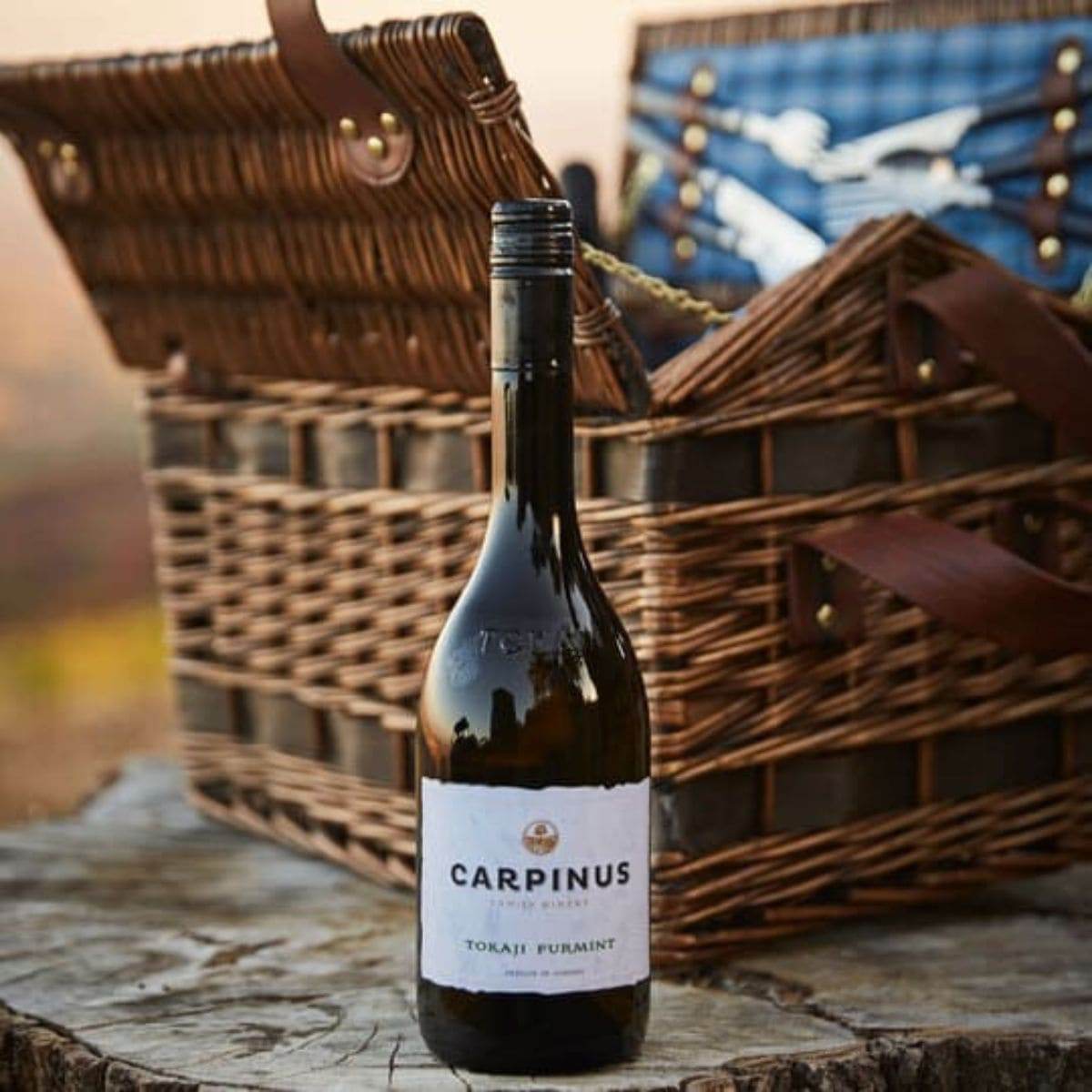 Flasche Carpinus Tokaji Furmint Weisswein vor geöffnetem Picknickkorb aus geflochtenem Holz