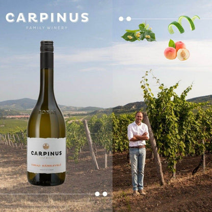 Flasche Carpinus Tokaji Hárslevelű Weisswein vor Weinberg mit Winzer, Geschmacknoten Linde, Limettenschale, weisser Pfirsich