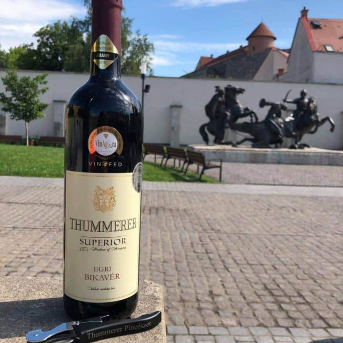 Egri Bikavér Superior 2021 Stierblut Thummerer Eger Ungarn 0,75l - HUNGAROVIN - Topweine aus Ungarn, Italien & Australien – online kaufen