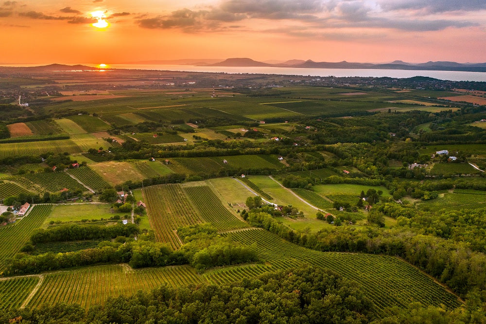 Luftaufnahme einer üppigen, bunten Landschaft aus Weinbergen und Feldern bei Sonnenuntergang in der Nähe des Südbalatons. Der Himmel ist eine faszinierende Mischung aus Orange und Rosa, die Sonne geht über einem entfernten Gewässer unter und im Hintergrund sind sanfte Hügel zu sehen.