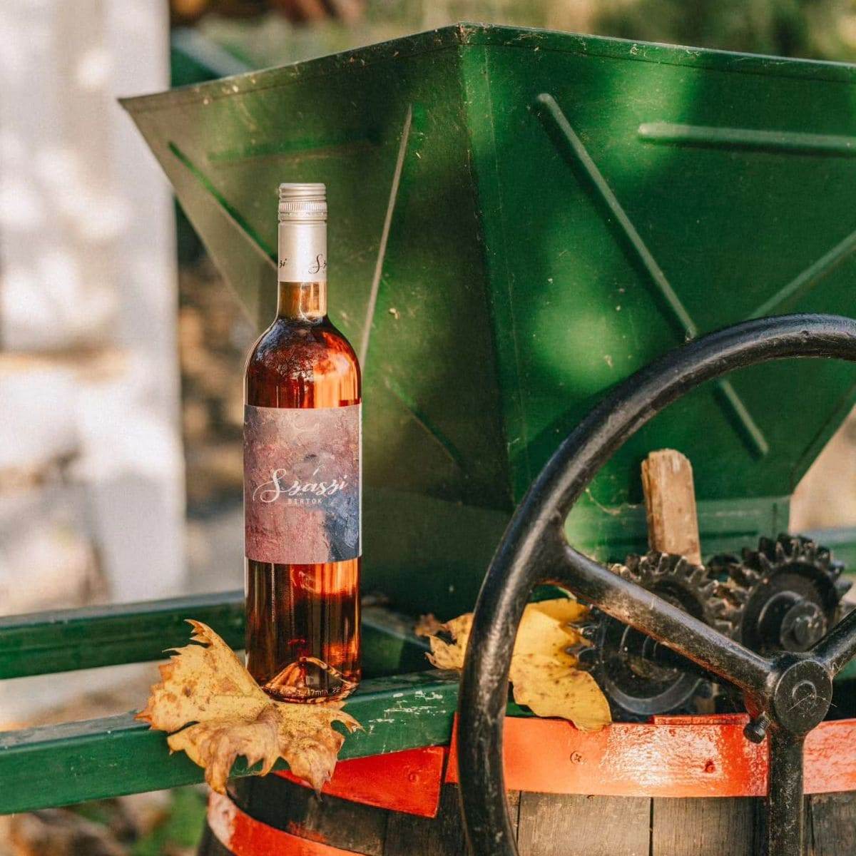 Cabernet Sauvignon Rosé trocken 2024 Szászi Balaton Ungarn 0,75l - HUNGAROVIN - Topweine aus Ungarn, Italien & Australien – online kaufen