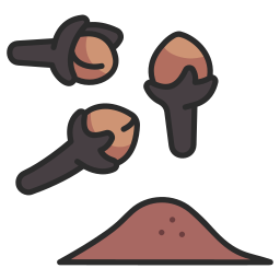 Gewürznelke