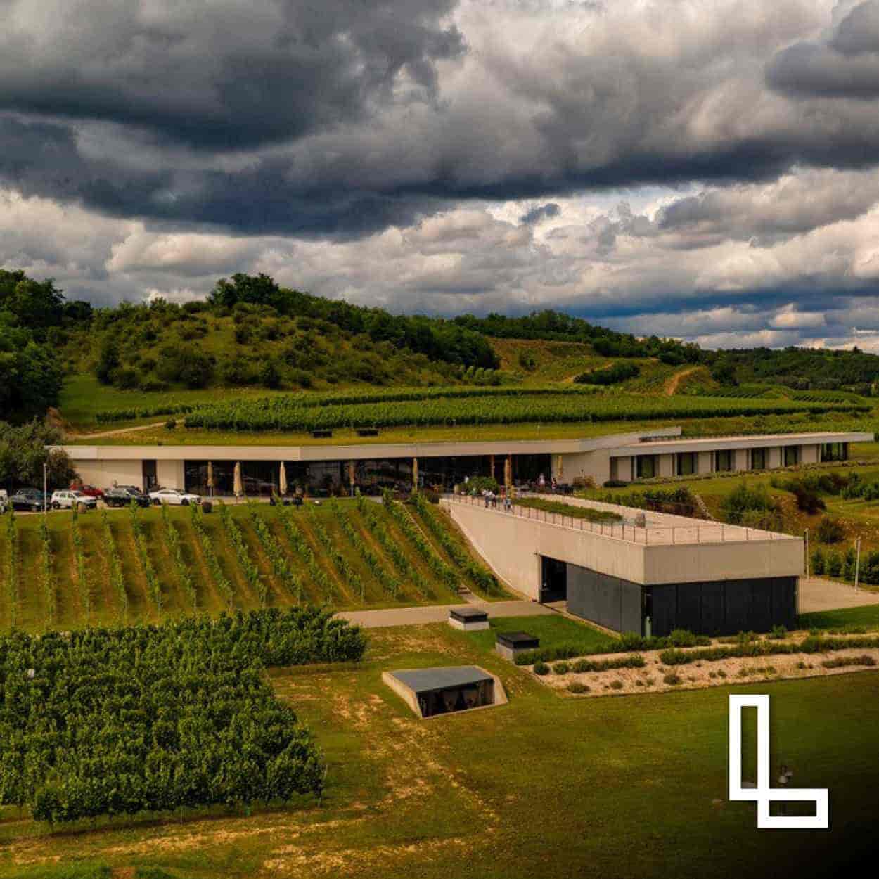 Luftaufnahme eines Weinguts mit modernen Gebäuden und Weinreben auf sanften Hügeln unter bewölktem Himmel.