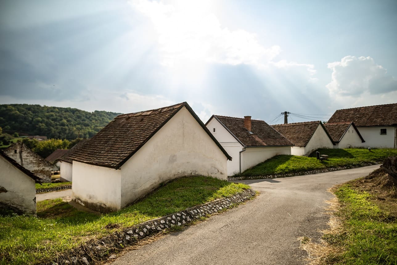 Blick auf eine kurvenreiche Straße, die an mehreren weißen Weinhäusern mit braunen Dächern vorbeiführt, umgeben von grünen Hügeln und Bäumen.