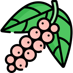 Rosapfeffer