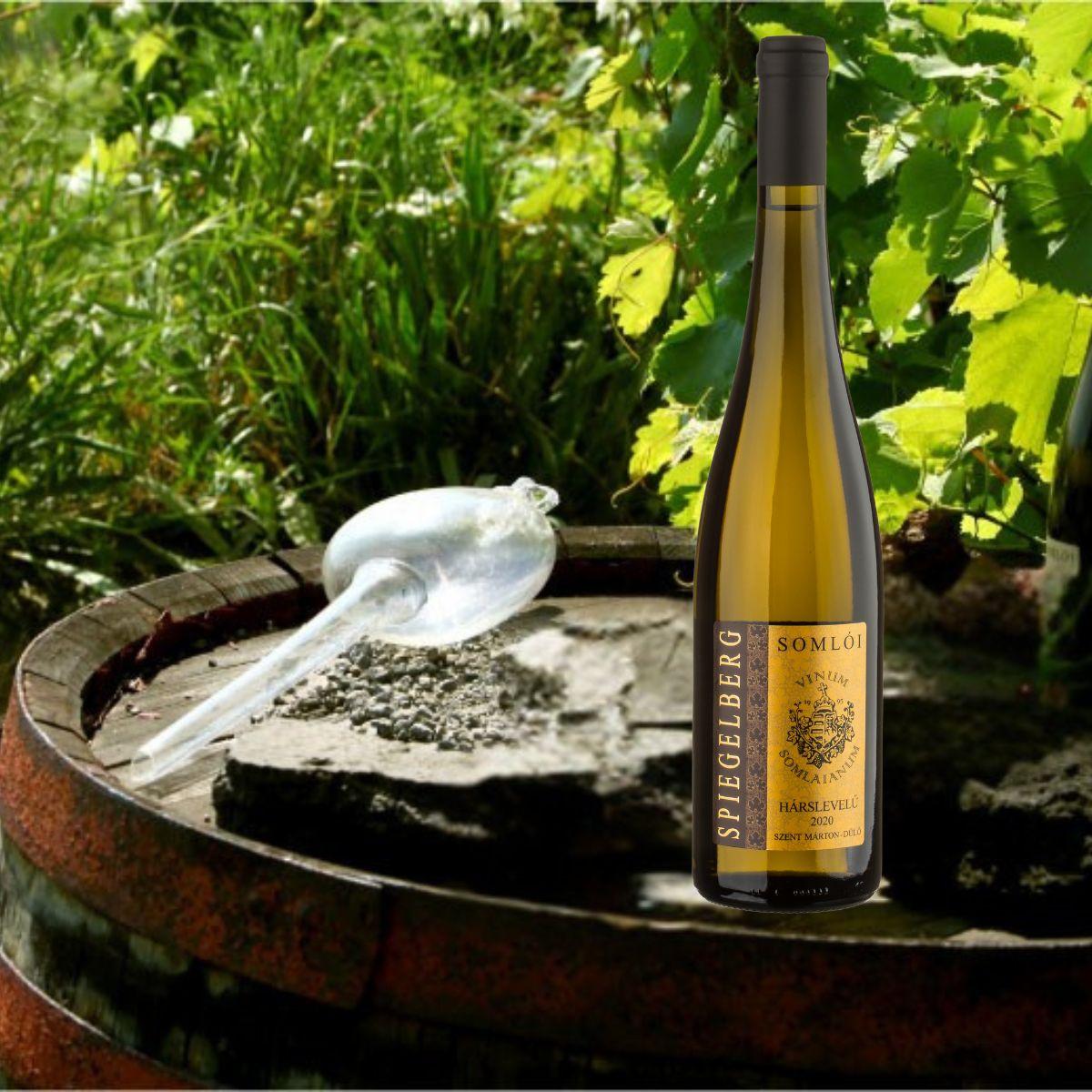 Spiegelberg Somlói Hárslevelű 2020 Weißweinflasche auf Weinfass mit Glas in sonnigem Weinberg