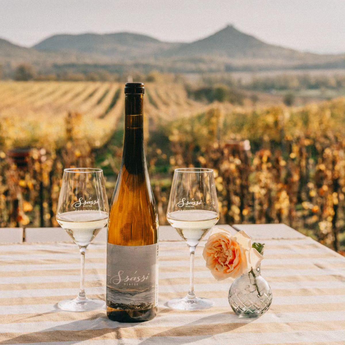 Weinflasche und zwei Weingläser mit weißem Wein auf einem Tisch vor herbstlicher Weinberglandschaft und einer einzelnen Rose in einer kleinen Vase.