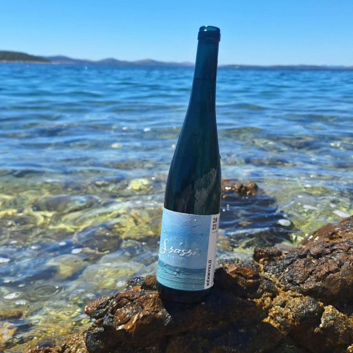 Flasche Szászi Weißwein mit blauem Etikett steht auf Felsen am Ufer des Balaton-Sees