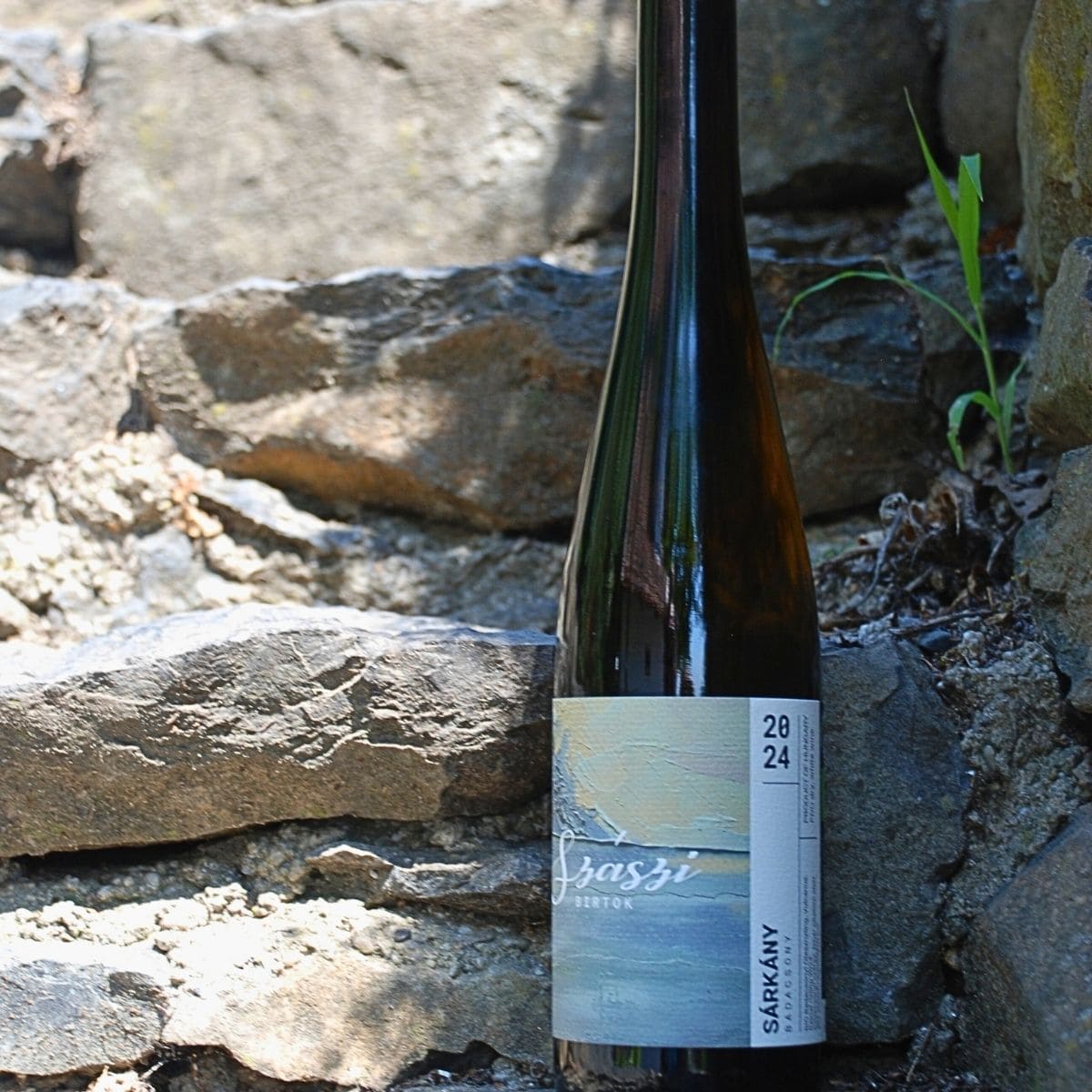 Flasche Szászi Sárkány 2024 mit blau-grauem Etikett steht auf Steinmauer im Freien