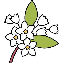 weisse Blumen