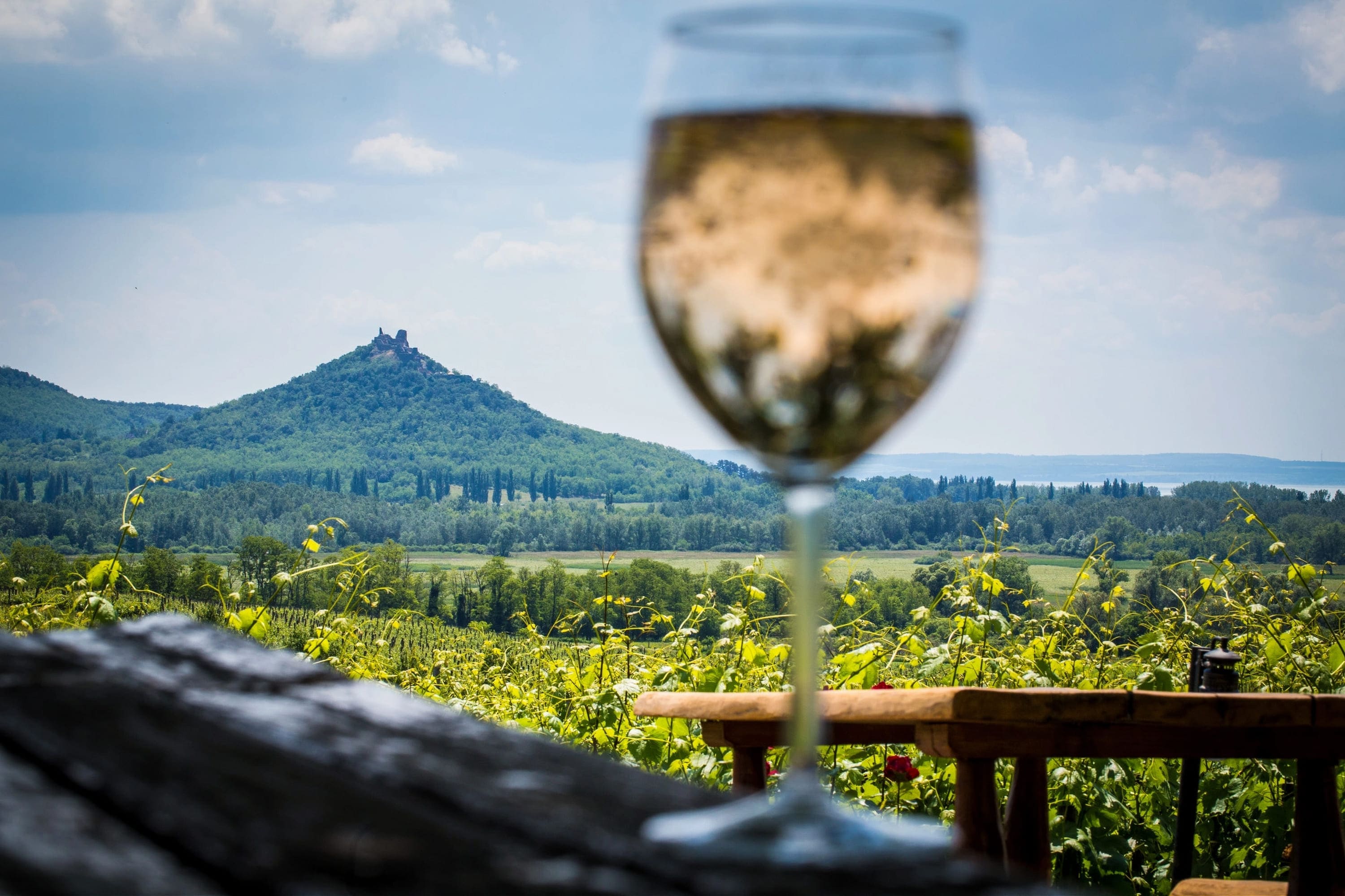 Weinglas mit Weißwein im Vordergrund, im Hintergrund Weinberge und ein bewaldeter Hügel mit einer Burg auf der Spitze unter blauem Himmel.