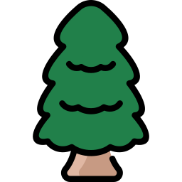 Zedernholz